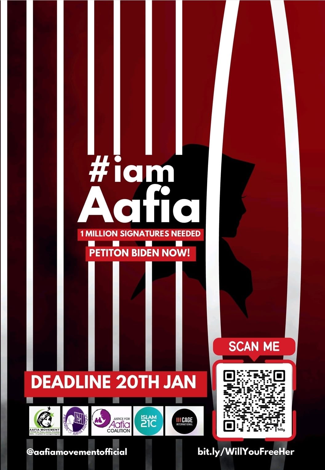 Stand With Aafia Campaign Image